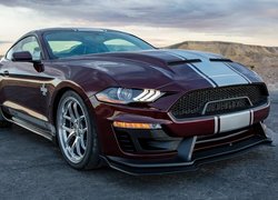 Ford Shelby Super Snake