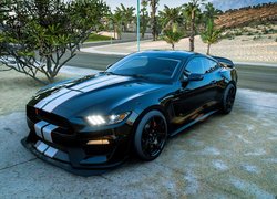 Ford Shelby w grze Forza Horizon 5