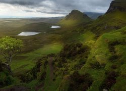 Wzgórza, Jeziora, Roślinność, Drzewo, Chmury, Wyspa Skye, Osuwisko, Quiraing, Szkocja