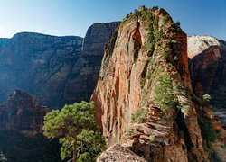 Park Narodowy Zion, Skały, Formacja, Angels Landing, Drzewa, Stan Utah, Stany Zjednoczone