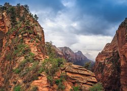 Park Narodowy Zion, Formacja skalna, Angels Landing, Kanion, Skały, Stan Utah, Stany Zjednoczone