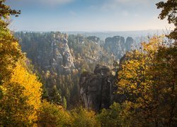 Niemcy, Góry Połabskie, Park Narodowy Saskiej Szwajcarii, Formacja skalna Bastei, Drzewa, Jesień