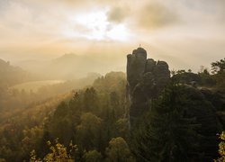 Niemcy, Góry Połabskie, Park Narodowy Saskiej Szwajcarii, Formacja skalna Bastei, Skały, Drzewa, Mgła