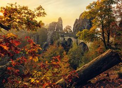 Jesień, Drzewa, Skały, Formacja skalna, Bastei, Góry Połabskie, Park Narodowy Saskiej Szwajcarii, Niemcy