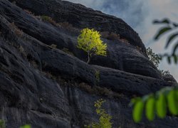Formacja skalna Bastei w Parku Narodowym Saskiej Szwajcarii w Niemczech