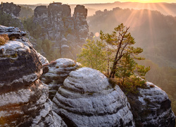 Niemcy, Park Narodowy Saskiej Szwajcarii, Bastei, Skały, Góry Połabskie, Drzewa, Promienie słońca