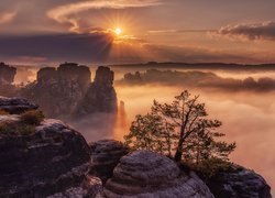 Park Narodowy Saskiej Szwajcarii, Skały Bastei, Góry Połabskie, Niemcy, Mgła, Drzewo, Wschód słońca, Promienie słońca, Chmury
