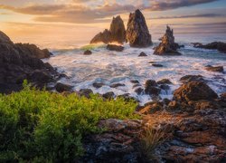 Formacja skalna Camel Rock na australijskim wybrzeżu w Bermagui