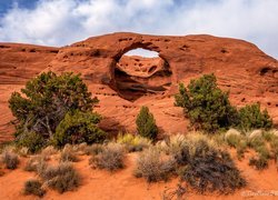 Stany Zjednoczone, Arizona, Dolina, Monument Valley, Skały, Formacja skalna, Honeymoon Arch, Drzewa, Krzewy