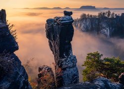 Góry Połabskie, Skały, Drzewa, Formacje skalne, Mgła, Wschód słońca, Park Narodowy Saskiej Szwajcarii, Niemcy