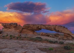 Stany Zjednoczone, Stan Utah, Park Narodowy Grand Staircase-Escalante National Monument, Formacja skalna Sunset Arch, Zachód Słońca, Chmury, Skała, Rośliny