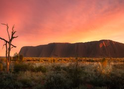 Australia, Wschód słońca, Góra, Skała, Ayers Rock, Uluru, Park Narodowy Uluru Kata Tjuta, Trawa
