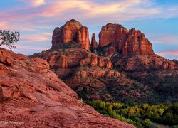 Stany Zjednoczone, Arizona, Sedona, Skały, Czerwone, Drzewa