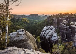 Góry Połabskie, Skały, Bastei, Drzewa, Zachód słońca, Park Narodowy Saskiej Szwajcarii, Niemcy