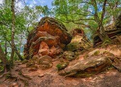 Niemcy, Nadrenia Westfalia, Eiffel, Formacje skalne, Katzensteine, Brzozy