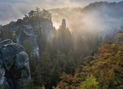 Wschód słońca, Formacje skalne, Hruboskalsko, Mgła, Skały, Drzewa, Skalne Miasto, Czeski Raj, Góry Stołowe, Czechy