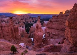 Stany Zjednoczone, Stan Utah, Park Narodowy Bryce Canyon, Skały, Roślinność, Wschód słońca