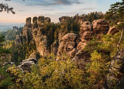 Góry Połabskie, Skały, Bastei, Drzewa, Park Narodowy Saskiej Szwajcarii, Niemcy