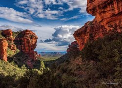 Stany Zjednoczone, Stan Arizona, Sedona, Skały, Formacje skalne, Drzewa