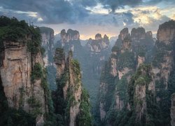 Wulingyuan Scenic Area, Las, Drzewa, Skały, Góry, Zhangjiajie National Forest Park, Hunan, Chiny