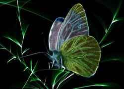 Fractalius motyla na źdźbłach trawy