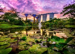 Staw, Lilie wodne, Hotel Marina Bay Sands, Futurystyczny ogród Gardens by the Bay, Singapur