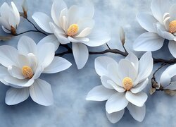 Białe, Kwiaty, Magnolie, Gałązka