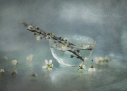 Gałązka z kwiatami drzewa owocowego w szklanym naczyniu