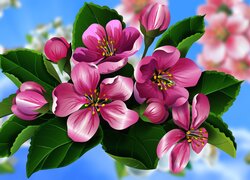 Gałązka z różowymi kwiatami drzewa owocowego w 2D
