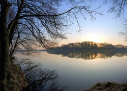 Gałęzie drzew pochylają się nad jeziorem o świcie