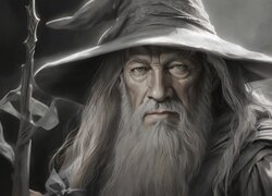 Mężczyzna, Starszy, Twarz, Broda, Zarost, Siwy, Kapelusz, Kij, Postać, Gandalf