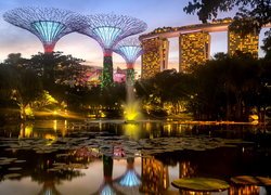 Staw, Hotel, Marina Bay Sands, Ogród, Gardens by the Bay, Singapur