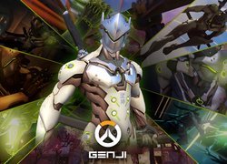 Gra, Overwatch, Genji Shimada