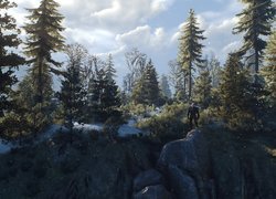 Geralt na skale pośród drzew