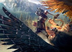 Gra, Wiedźmin 3 Dziki Gon, The Witcher 3 Wild Hunt, Geralt z Rivii, Ptak, Walka