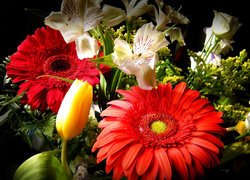 Kwiaty, Bukiet, Gerbera, Alstremeria