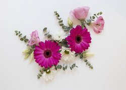 Kwiaty, Kolorowe, Gerbery, Listki