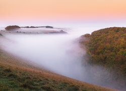 Gęsta jesienna mgła nad polami
