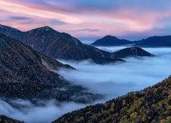 Gęsta mgła nad lasami w górach Hida