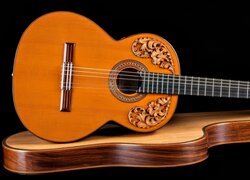 Gitara na futerale