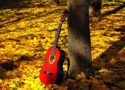 Gitara pod drzewem