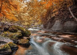 Głazy na brzegu rzeki w jesiennym lesie