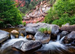 Skały, Cathedral Rock, Drzewa, Rzeka, Oak Creek, Głazy, Kamienie, Sedona, Arizona, Stany Zjednoczone