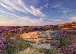 Anglia, Park Narodowy Peak District, Wrzosowisko, Wzgórze, Głazy