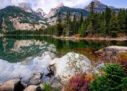 Park Narodowy Grand Teton, Wyoming, Stany Zjednoczone, Góry, Jezioro, Bradley Lake, Kamienie, Las, Drzewa, Chmury, Odbicie