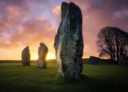 Głazy neolityczne we wsi Avebury