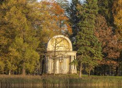 Glorieta w parku pośród drzew