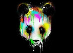 Grafika, Panda