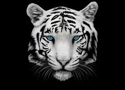 Głowa tygrysa w grafice na czarnym tle