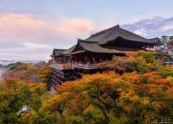 Japonia, Kioto, Dzielnica Higashiyama, Góra Otowa, Kompleks świątynny Kiyomizu-dera, Świątynia buddyjska, Jesień, Drzewa, Mgła